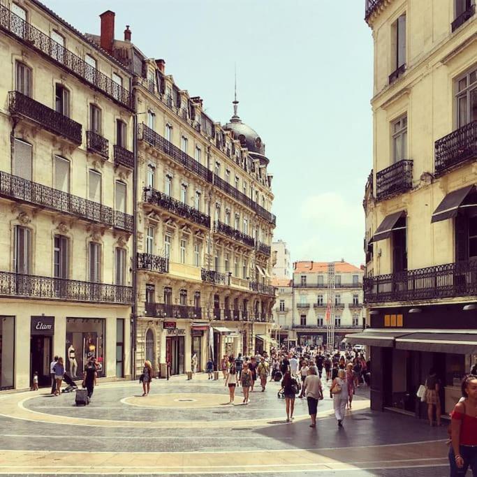 Loft Coeur Historique Montpellier Daire Dış mekan fotoğraf